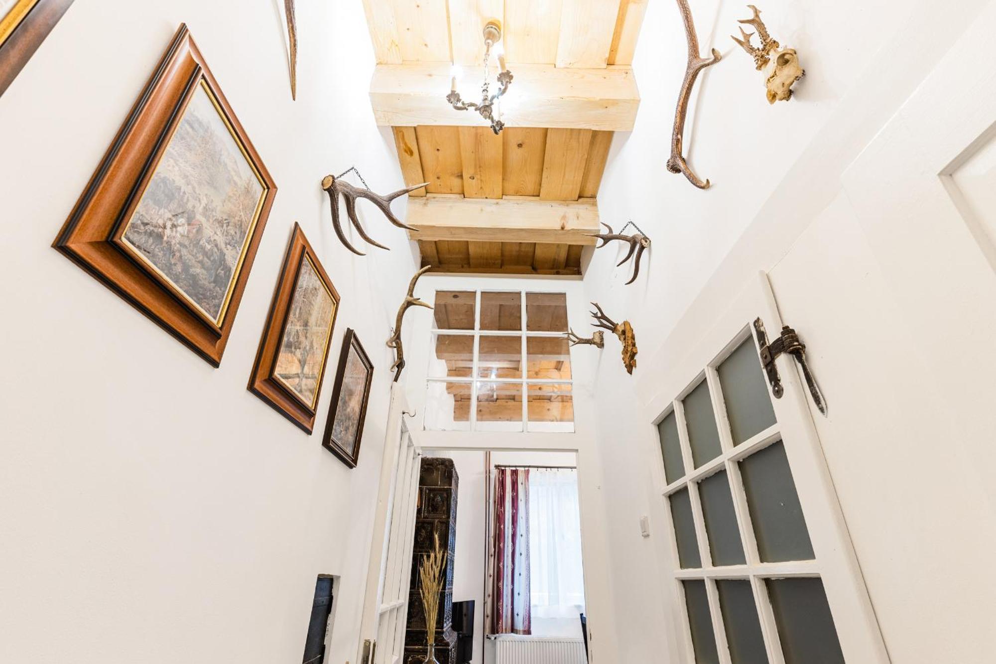 Sovi Dom- Historicke Apartmany Z 19 Storocia, 4Km Od Banskej Stiavnice Svaty Anton Ngoại thất bức ảnh